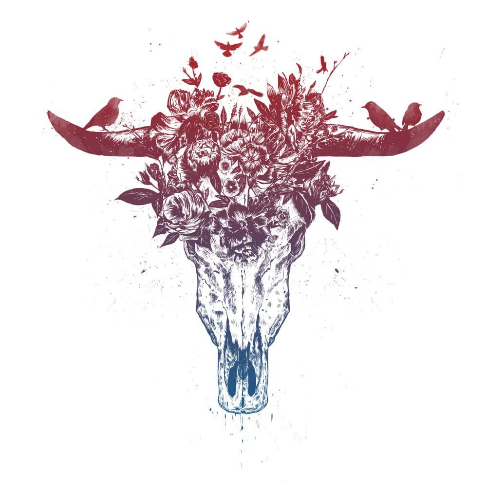 Wild Skull Blooms by Balazs Solti — canvas wall art