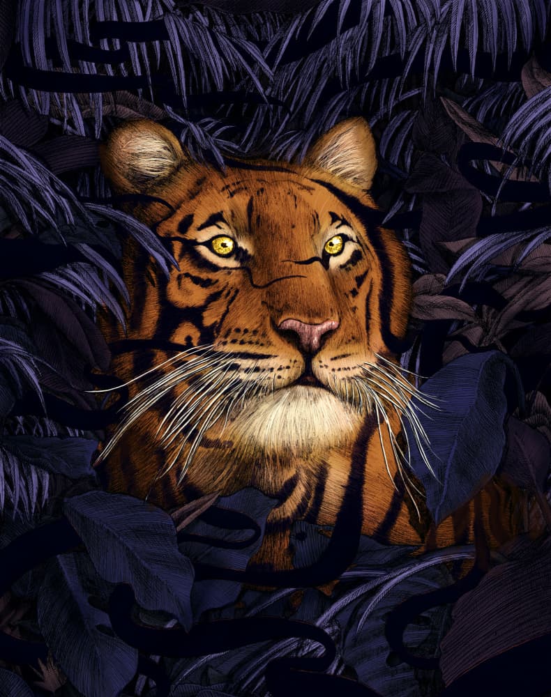 Watchful Jungle Tiger by EC Mazur — canvas wall art