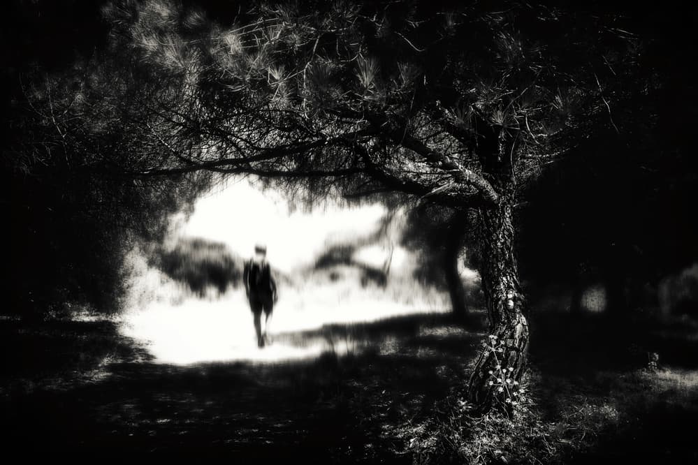 Solitary Forest Path by Ina Tänzer — canvas wall art