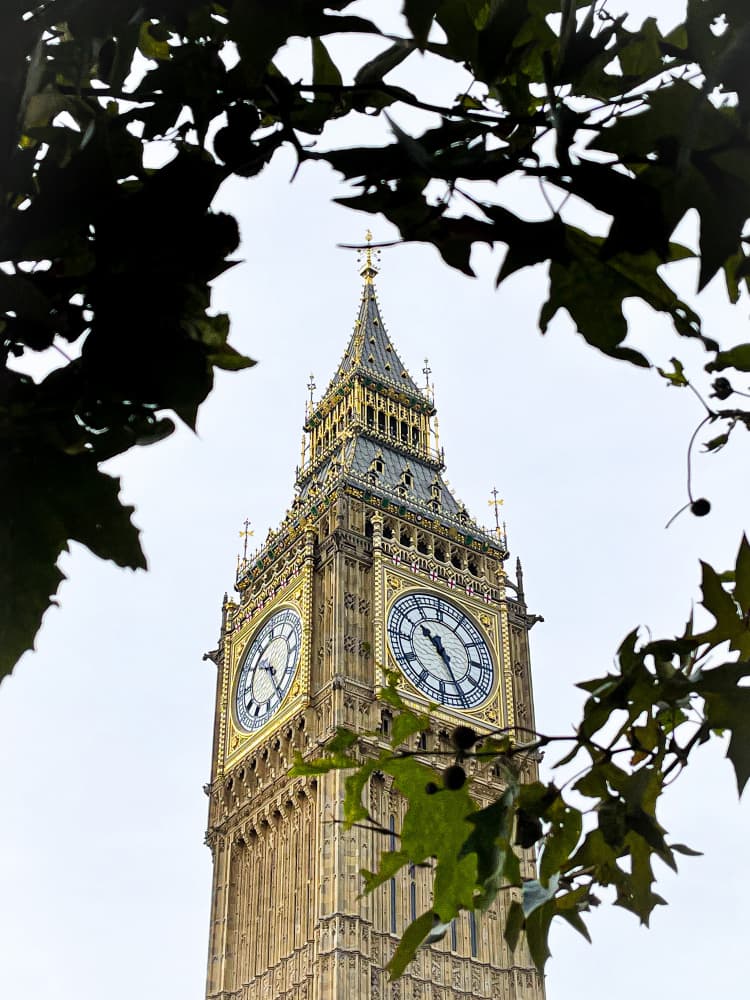 Big Ben Through Leaves by Patrick Muthui — canvas wall art