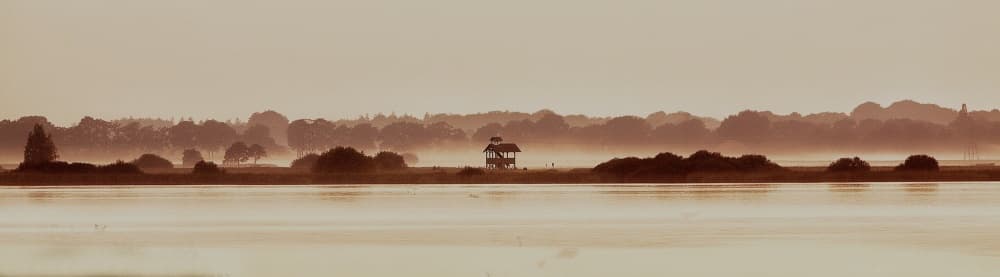 Misty Lake Morning by Max Witjes — canvas wall art