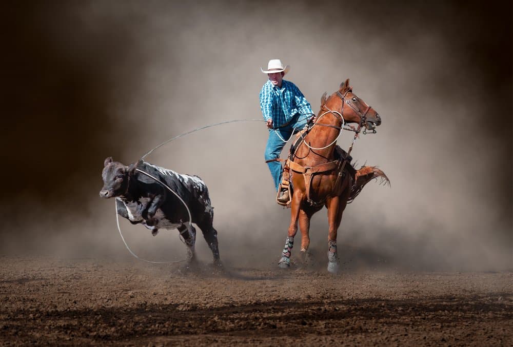 Rodeo Roping Action by Frank Ma — canvas wall art