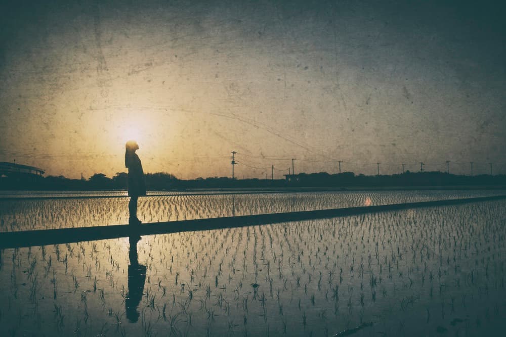 Solitary Sunset Field Reflection by 7 Flavor C/P — canvas wall art