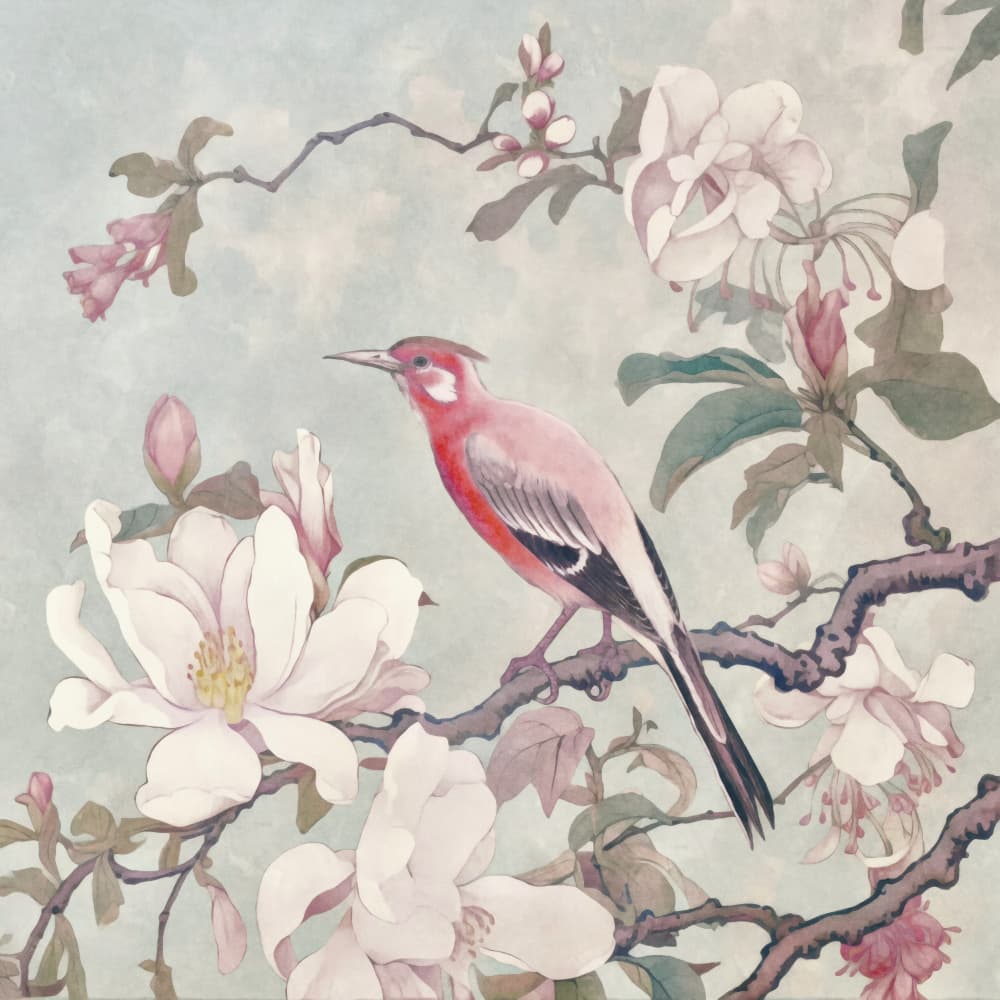 Graceful Bird Magnolia by Andrea Haase — canvas wall art