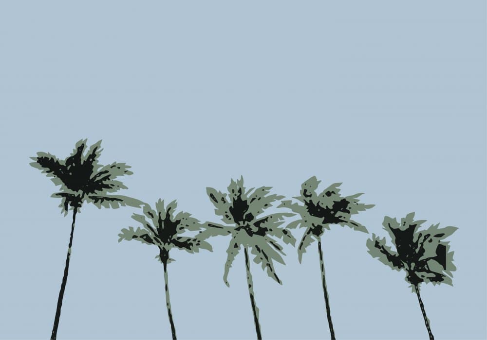 Paradise Palms Blue Sky by Pictufy Studio II — canvas wall art