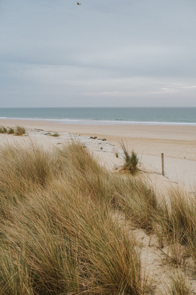 Peaceful Beach Dunes by Claudia Casal — canvas wall art