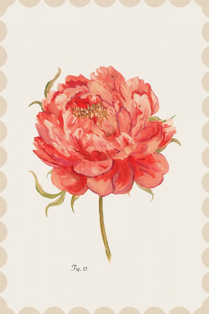 Vibrant Coral Peony by cartissi — canvas wall art