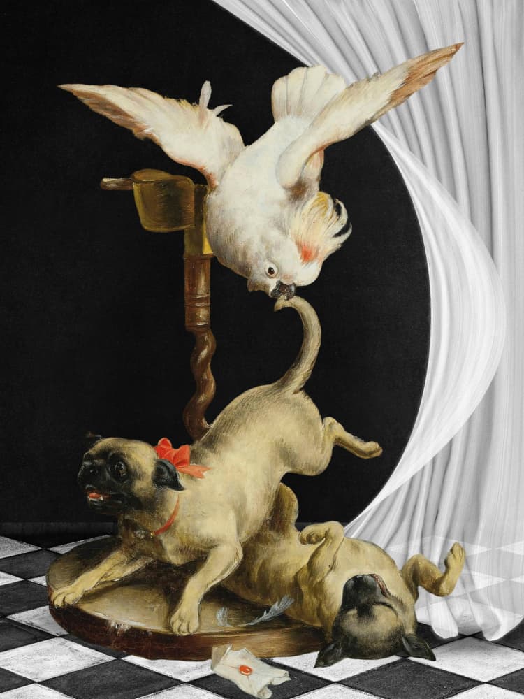 Playful Pugs and Cockatoo