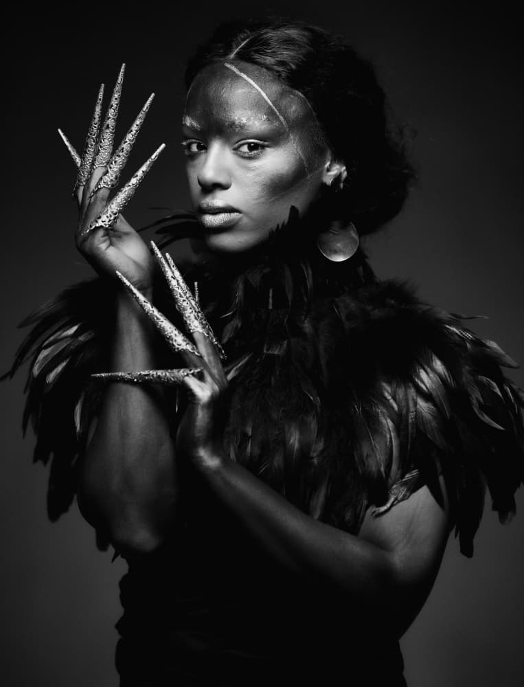 Dramatic Feathered Portrait by Offer Ellbogen — canvas wall art