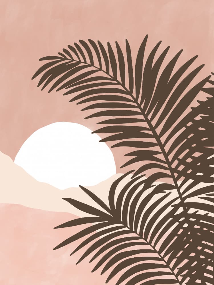 Desert Palm Sunset by Elena Ristova — canvas wall art
