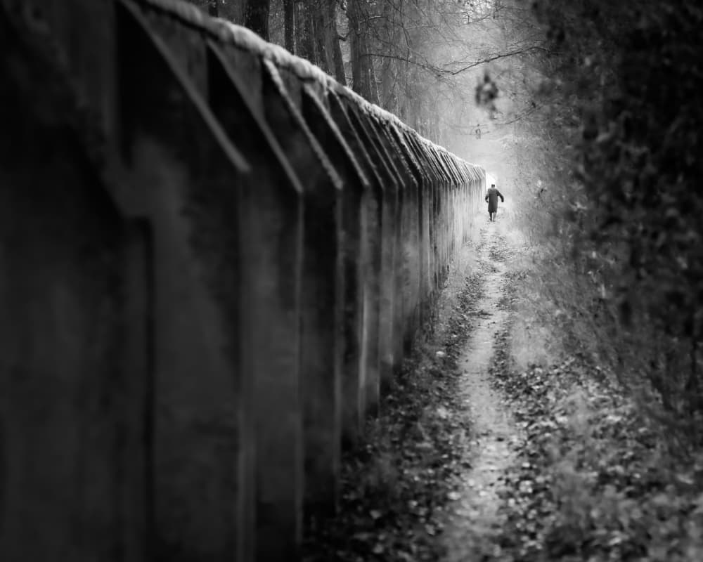 Lone Figure on Path by Andy Dauer — canvas wall art