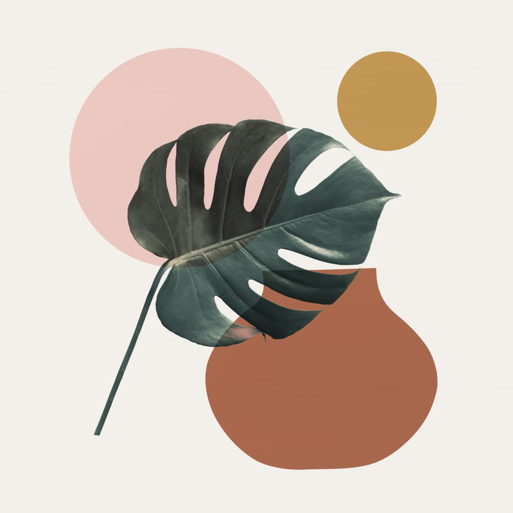 Monstera Leaf Organic Shapes by Vitor Costa — canvas wall art