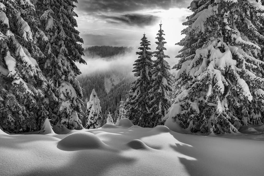Snowy Mountain Forest Light by Aleš Klabus — canvas wall art