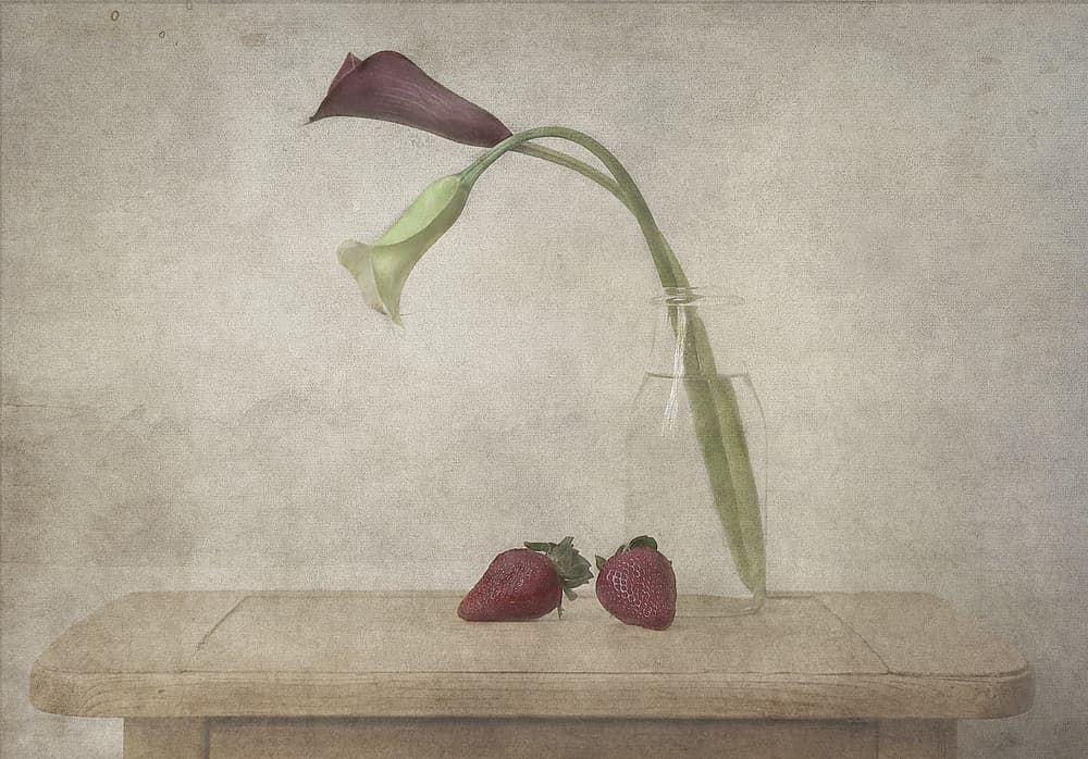 Calla Lilies and Strawberries by Deborah Gugeri — canvas wall art