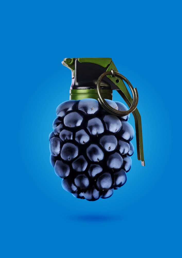 Blackberry Grenade by Artem Pozdniakov — canvas wall art