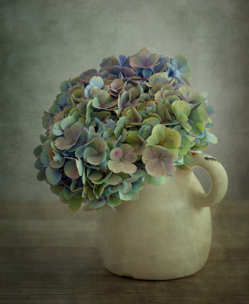 Muted Hydrangea Still Life by Ytje Veenstra — canvas wall art