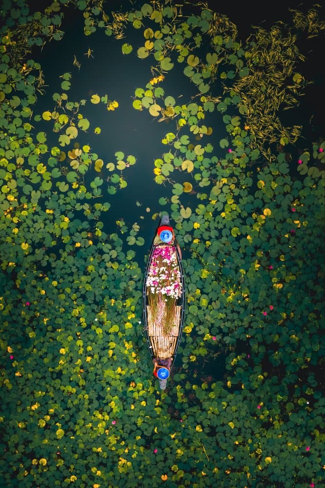 Floating Lily Pad Boat by Tanvir — canvas wall art