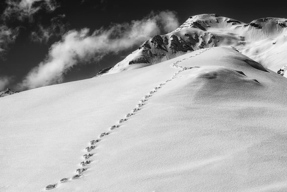 Footprints Up Snowy Mountain by Uschi Hermann — canvas wall art