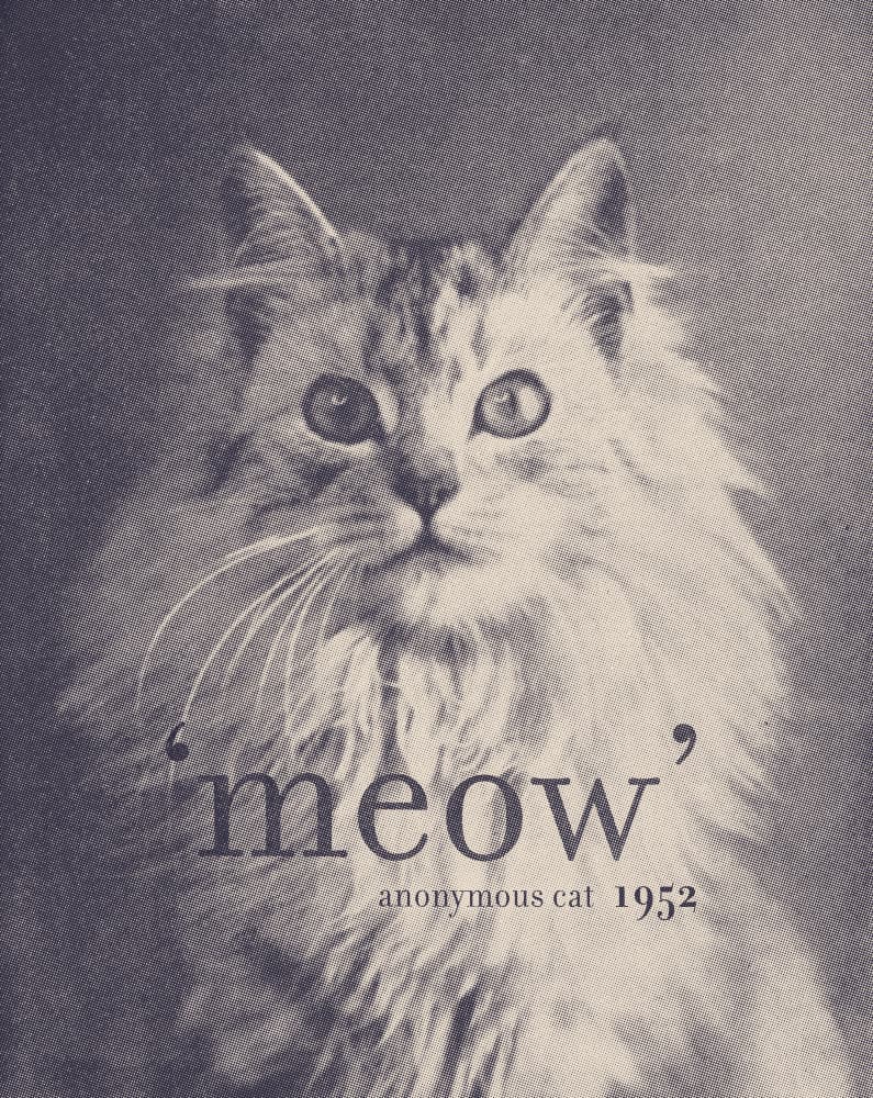 Vintage Meow Portrait by Florent Bodart — canvas wall art