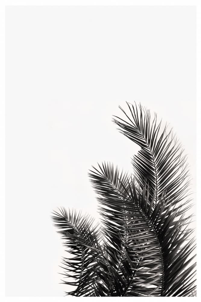 Palm Whisper by THE MIUUS STUDIO — canvas wall art