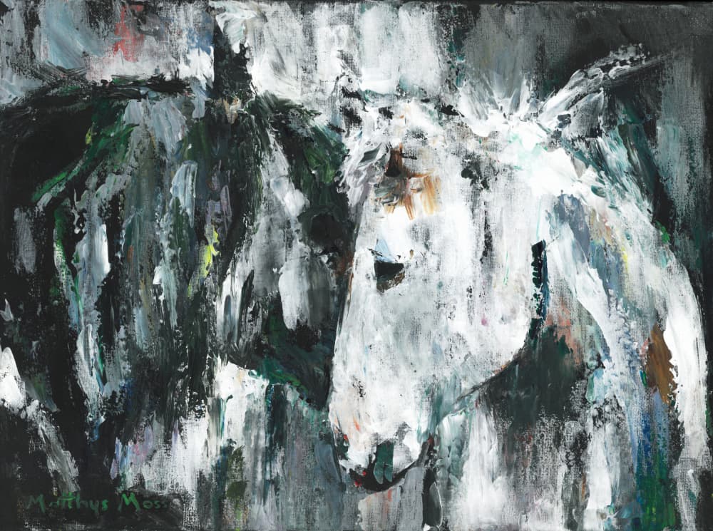 Expressive Horse Bond