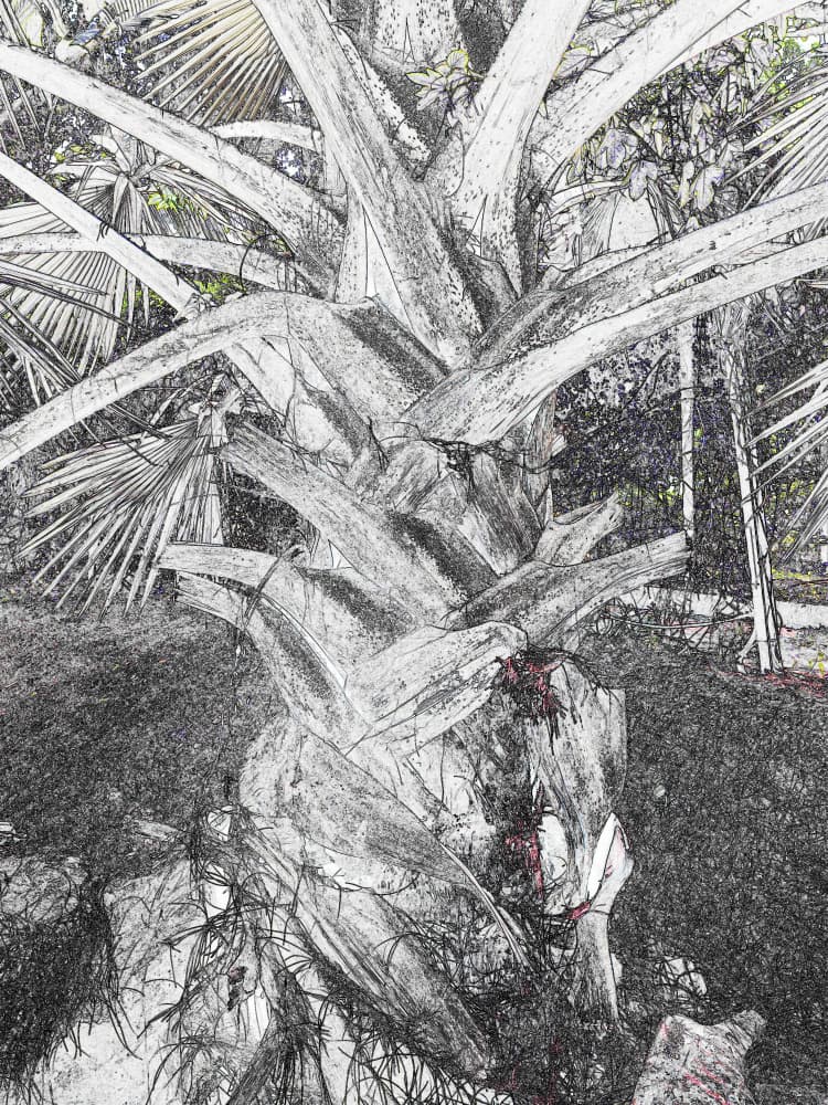 Textured Palm Trunk by Santhosh ch — canvas wall art