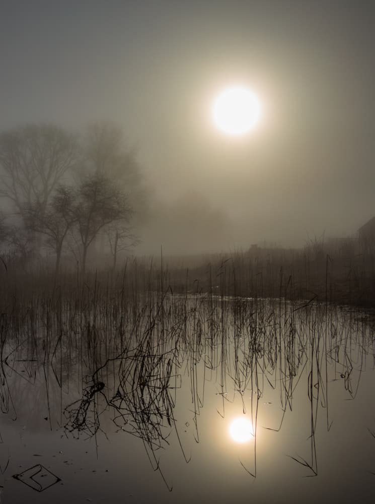 Misty Morning Sun Reflection