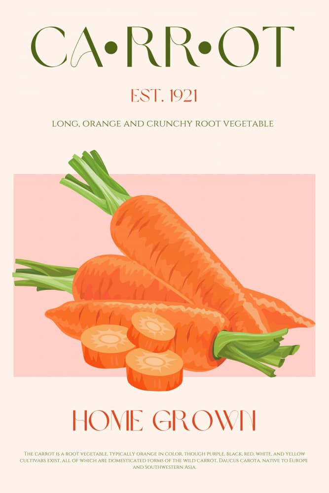 Home Grown Carrots by Nazma Khokhar — canvas wall art
