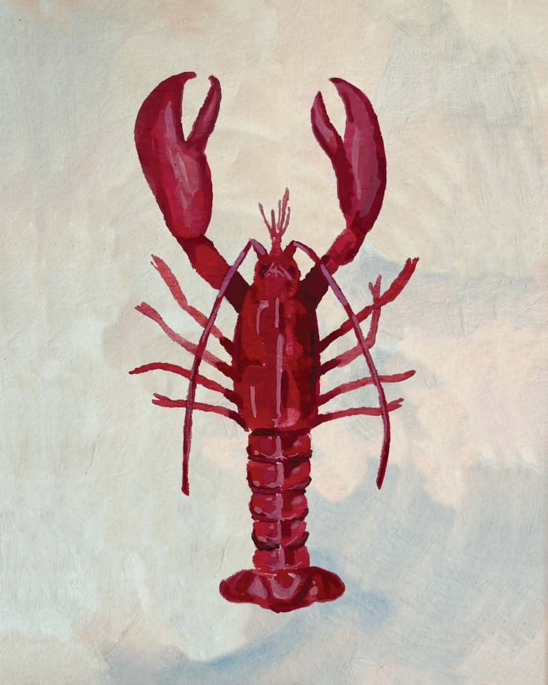 Vibrant Red Lobster