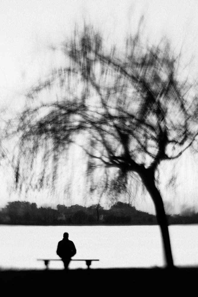 Lone Figure Under Willow by Rui Ferreira — canvas wall art