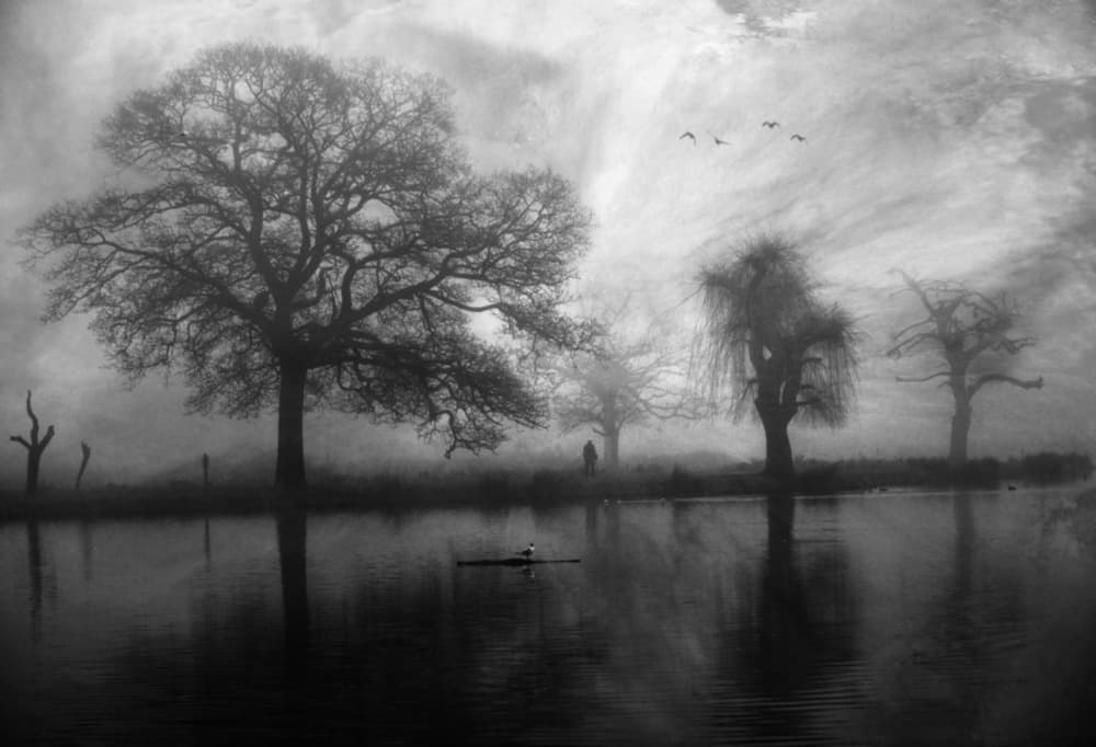 Lone Rower Misty Morning by Robert Fabrowski — canvas wall art