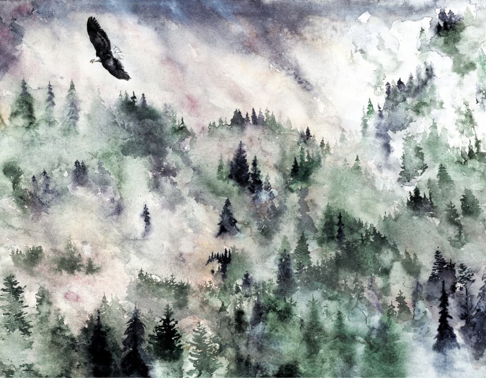 Misty Mountain Eagle by RodMacIver — canvas wall art