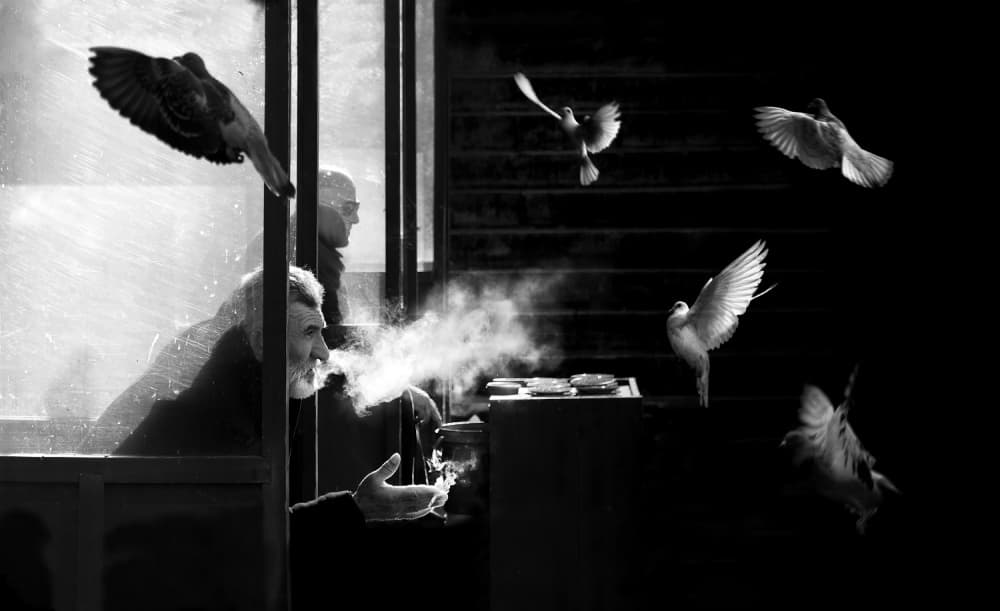 Smoking Man Pigeons by Juan Luis Duran — canvas wall art