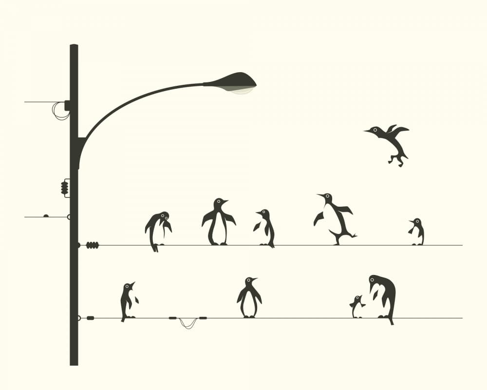 Flying Penguin Dance by Jazzberry Blue — canvas wall art