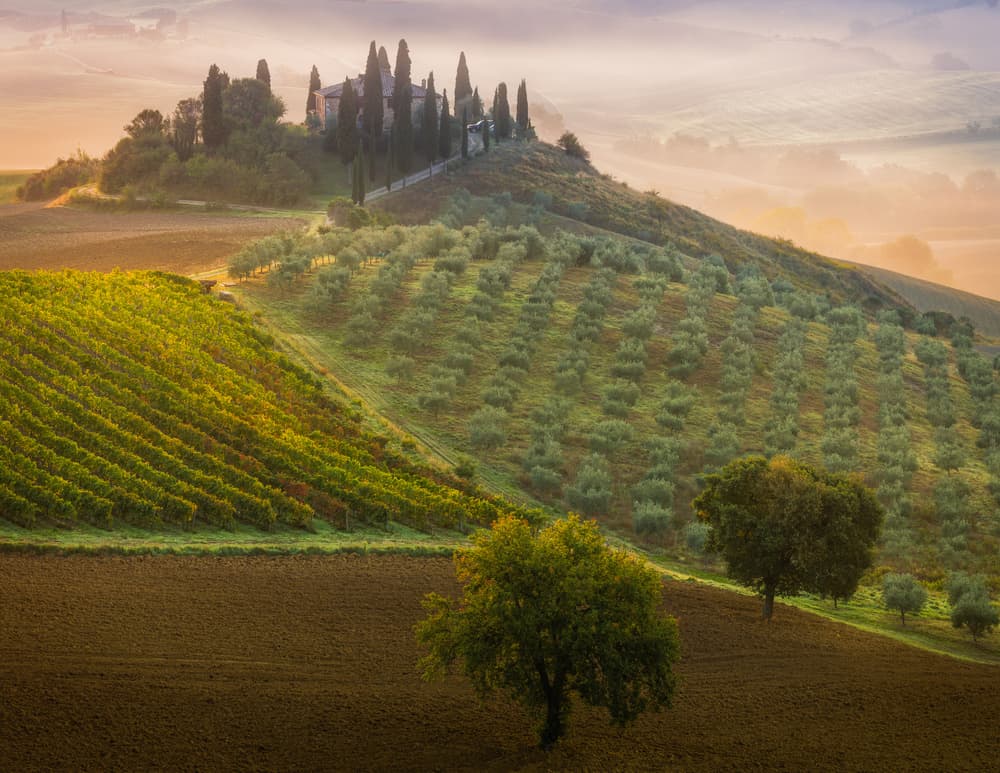 Tuscan Villa Sunrise by Adrian Popan — canvas wall art