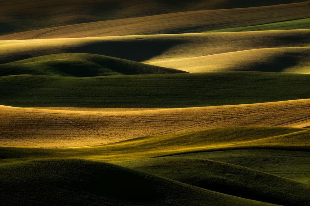 Golden Rolling Fields by Chuan Chen APA — canvas wall art