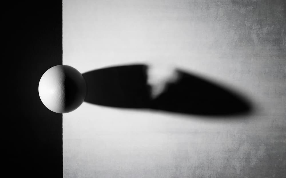 Black White Egg Shadow by Louis-Philippe Provost — canvas wall art