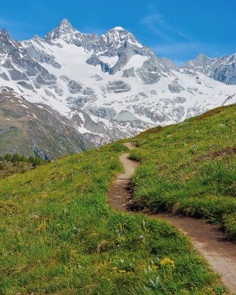 Mountain Path to Snowy Peaks by Del Mundo Imagery — canvas wall art