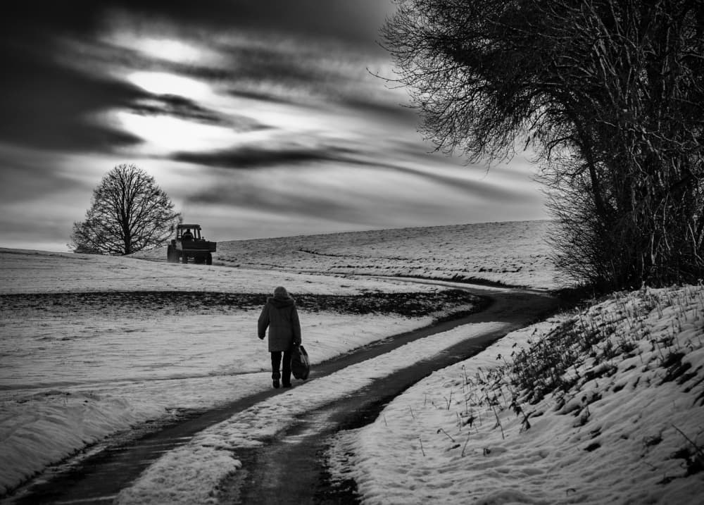 Winter Farm Path by Jürgen Hartlieb — canvas wall art