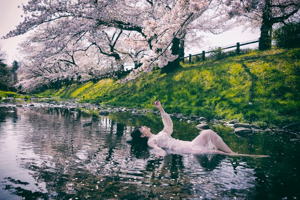 Spring Blossom Serenity by 7 Flavor C/P — canvas wall art