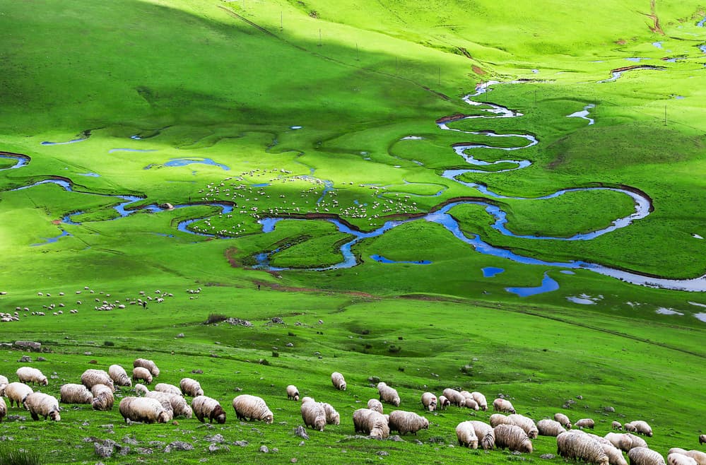 plateau by Suleyman Uzumcu — canvas wall art