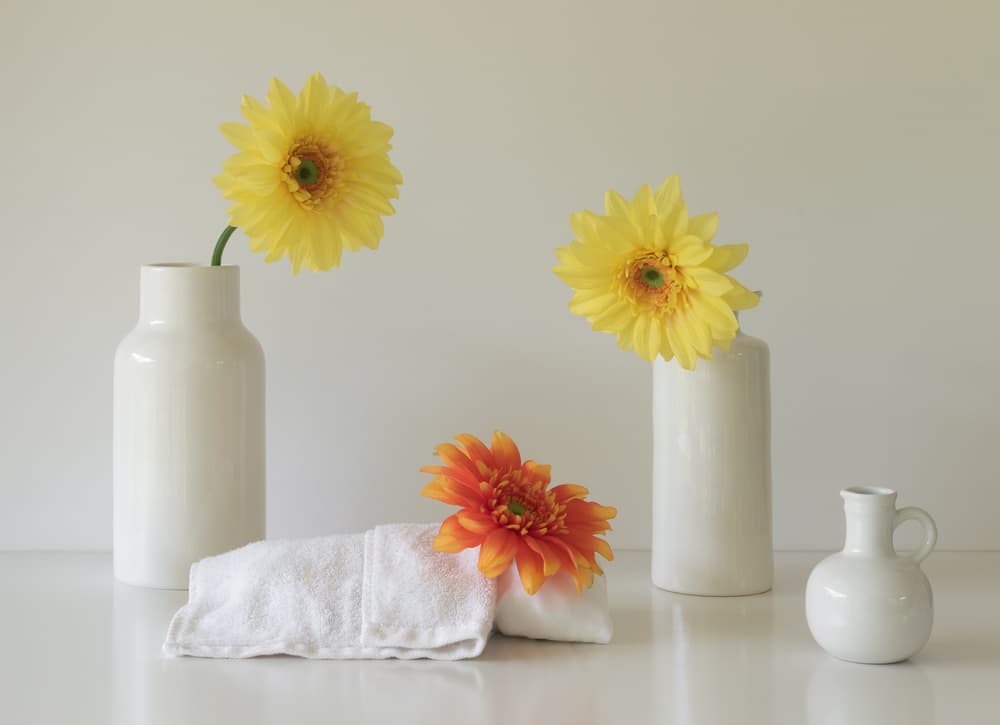 Fresh Gerbera Still Life by Jacqueline Hammer — canvas wall art