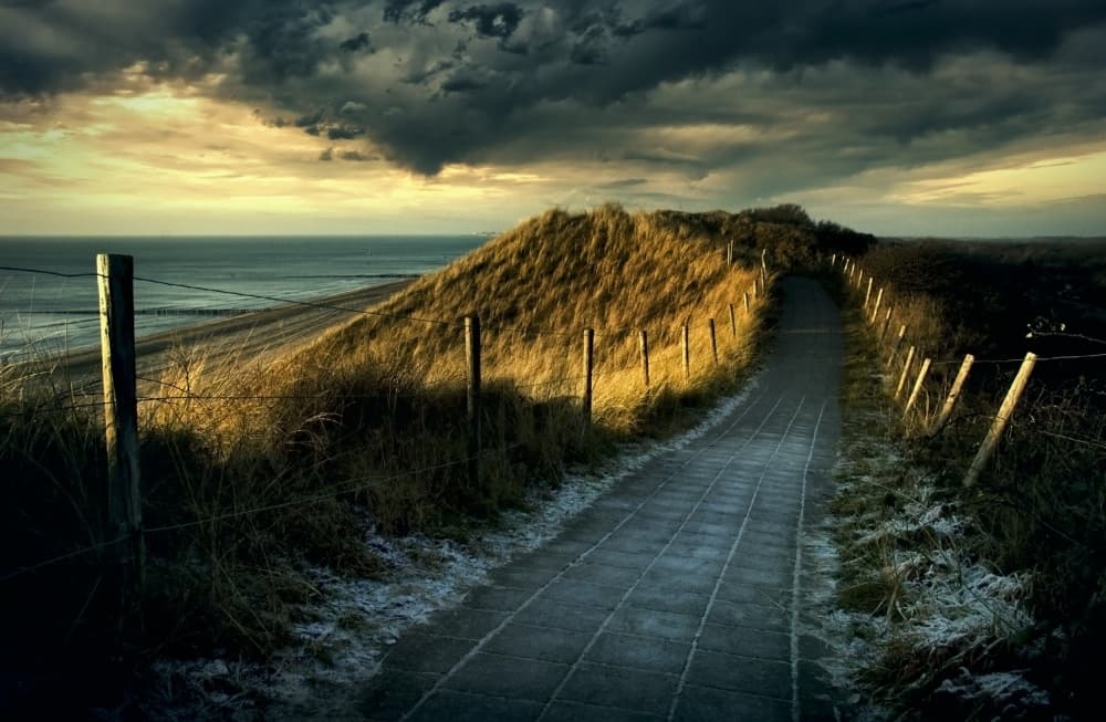 Coastal Path Golden Light by Wim Schuurmans — canvas wall art