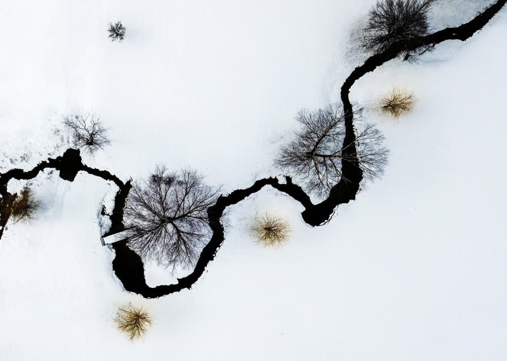 Stark Winter Landscape by Eric Zhang — canvas wall art