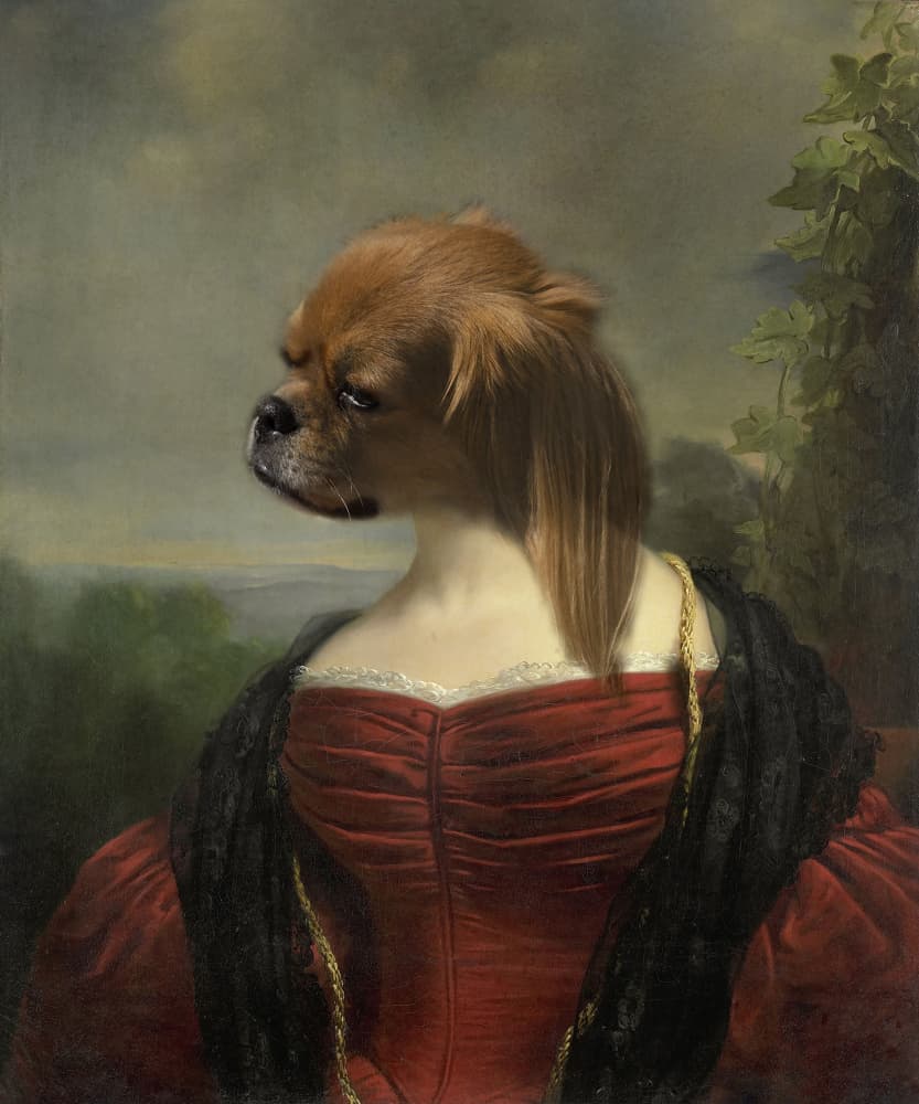 Regal Dog Portrait by Barbara Zielinska — canvas wall art