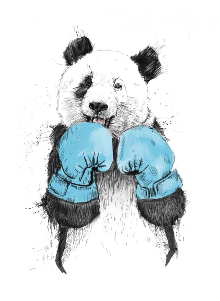 Panda Boxer by Balazs Solti — canvas wall art