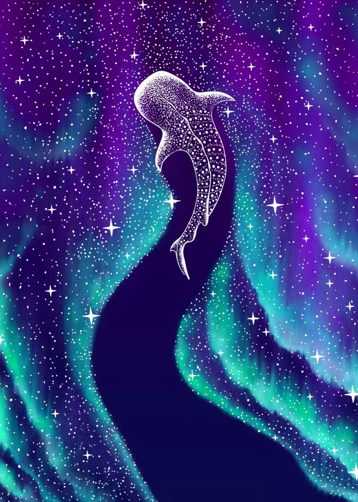Northern Lights Whale Shark by Alirıza ÇAKIR — canvas wall art