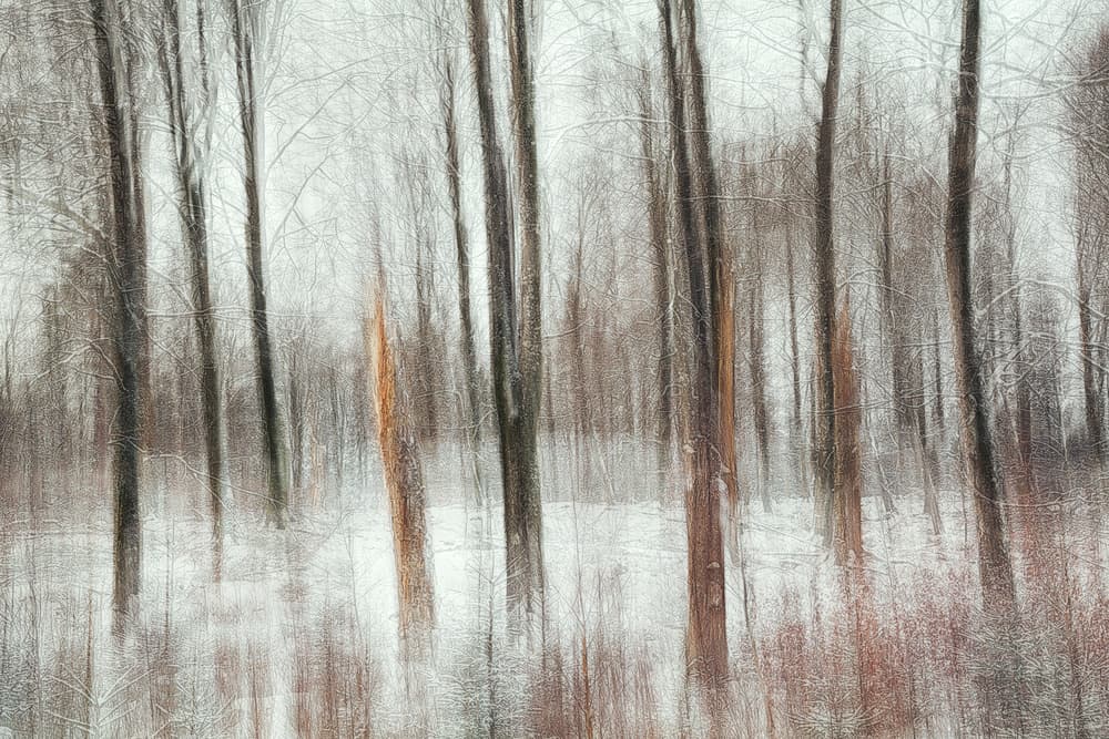 Abstract Winter Forest by Gustav Davidsson — canvas wall art