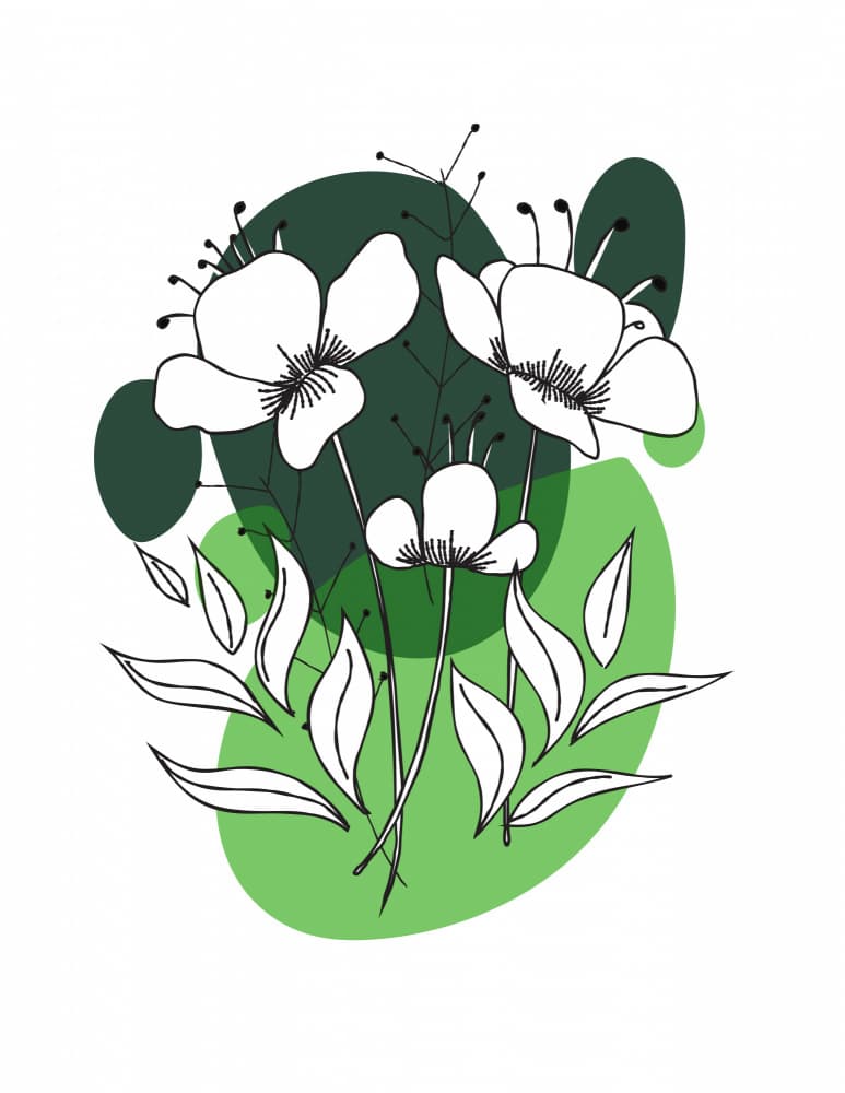 Green Botanical Outlines by Nicholas — canvas wall art