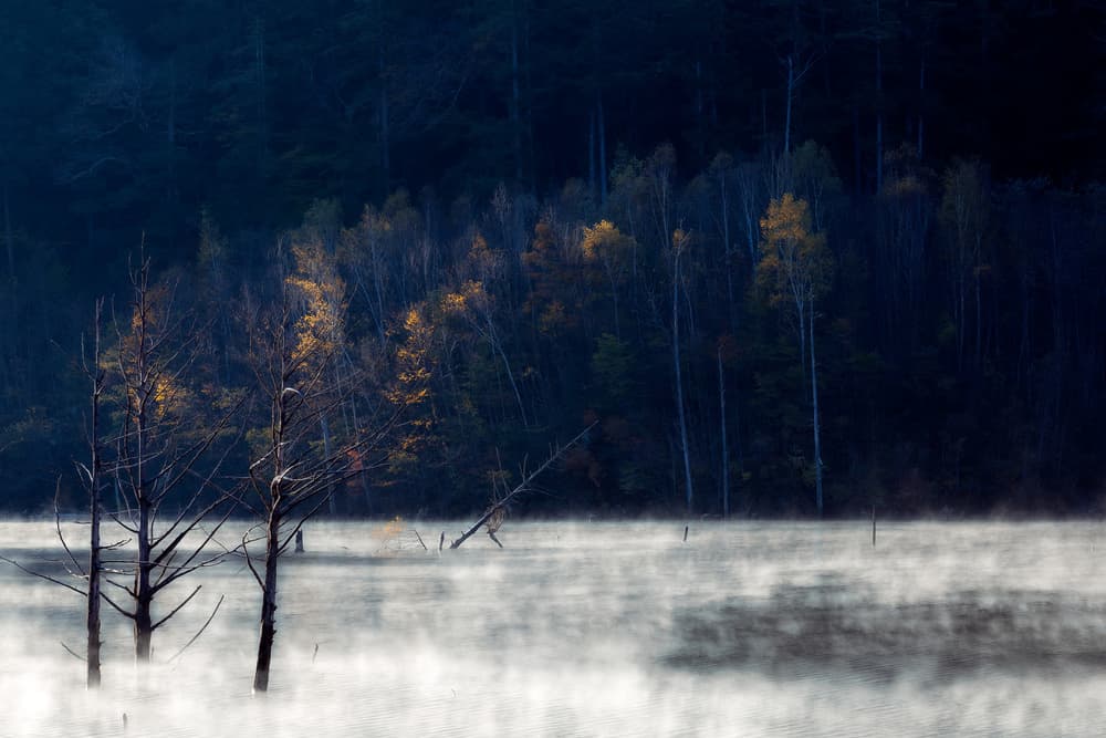 Misty Autumn Lake by Takeshi Mitamura — canvas wall art